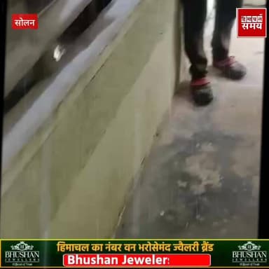घर के अंदर लिपटकर बैठा था सांप का जोड़ा, पंजाबी खान ने किया रेस्क्यू
हिमाचल समय - Himachal Samay Media #paewanooelectio...