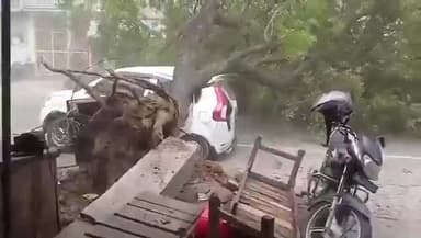 उन्नाव में आई तेज आंधी से आज एक बड़ा पेड़ उखड़ कर कार पर जा गिरा
गनीमत रही कि कोई कार में मौजूद नहीं था।
उखड़ते पेड़ की ...