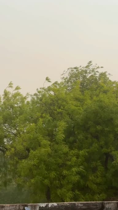 प्रयागराज में तेज तूफ़ानी आंधी
Follow @my_world_prayagraj
#prayagraj #prayagrajcity #trending #ganv #barish