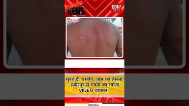 HAMIRPUR UPDATE: हमीरपुर में दबंगों का खूनी खेल | युवक पर जानलेवा हमला, मारपीट का VIDEO वायरल |