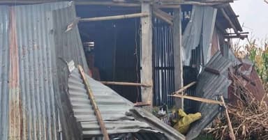Kishanganj दिघलबैंक पंचायत के मालटोली गांव में जंगली हाथियों के हमले से कई परिवार प्रभावित हुए हैं। हाथियों के झुंड ने र...