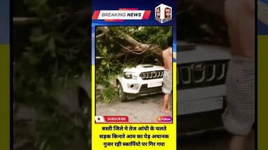 तेज आंधी के चलते सड़क किनारे आम का पेड़ अचानक गुजर रही स्कार्पियो पर गिरा #ijeenews #shorts