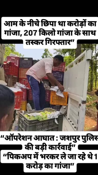 ऑपरेशन आघात में जशपुर पुलिस की बड़ी सफलता 🚨
🍋 आम की ट्रे के नीचे छिपाकर ले जाया जा रहा था करोड़ों का गांजा
🚔 जशपुर पुलिस...