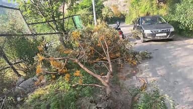 रामपुर उपमंडल के तहत ज्यूरी से सराहन को जोड़ने वाले रोड में तूफान ने मचाया हड़कंप
#kullutodaynews #SachKiAwaaz #MediaPo...
