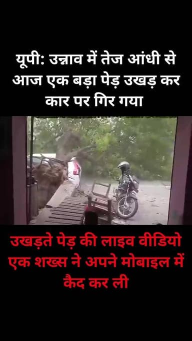 यूपी: उन्नाव में तेज आंधी से आज एक बड़ा पेड़ उखड़ कर कार पर गिर गया
उखड़ते पेड़ की लाइव वीडियो एक शख्स ने अपने मोबाइल म...
