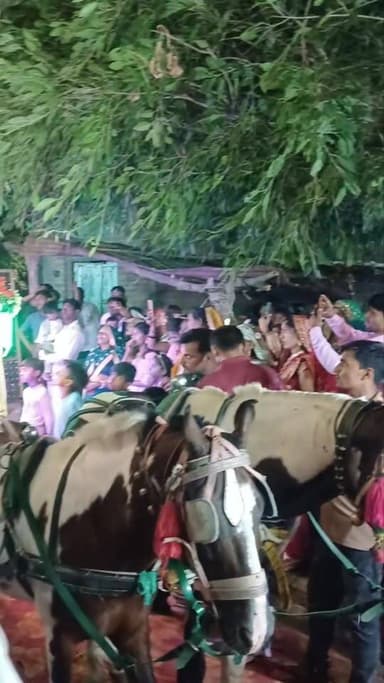 जब दूल्हा नाचने लगा तो बुजुर्ग ने दिखाई