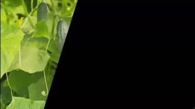 একই পরিবারের ৩জন গ্রেফতার পুলিশের হাতে তোলাবাজি ও জোর করে জমি দখলের অভিযোগে বর্ধমানে
#viral
#westbangalassemblyelecti...