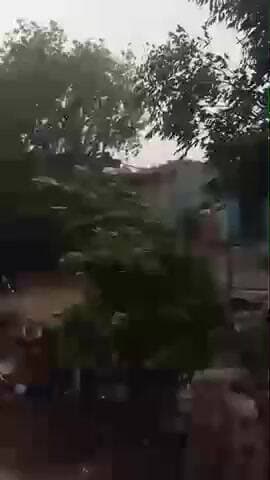 प्रदेश के विभिन्न जिलों में तेज आंधी और बरसात के साथ ओले पड़े ,कई पेड़ उखड़ गए और बहुत जगहों पर हुई मौतें