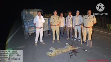शाहनगर: NH-43 पर तेज रफ्तार का कहर, अज्ञात वाहन ने तेंदुए को मारी टक्कर, मौत, वन विभाग ने शुरू की जांच