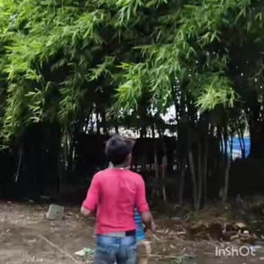 नरपतगंज: कोसकापूर बॉर्डर पर तस्कर और परिजनों ने एसएसबी पर किया हमला, समान छुड़ाया, प्राथमिकी दर्ज