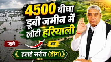 20 साल बाद हलई सरौत डीग (राजस्थान) में लहलहाई फसल, संत रामपाल जी महाराज ने बदली किसानों की किस्मत
#SantRampalJiMaharaj ...