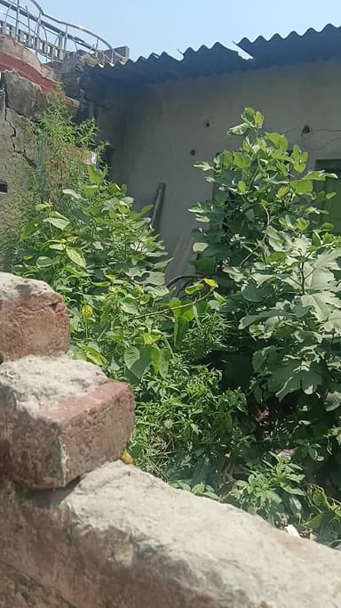 खतौली: खाली प्लॉट बना बीमारियों का घर,
#khatauli #muzzffarnagar #KhatauliNews
#MuzaffarnagarUpdates
#PublicProblem