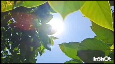 ଜିଲ୍ଲାକୁ ଏଲେ ୱାର୍ଣ୍ଣି ଜାରି
