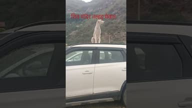 नल्हड़ #मेवात #funny