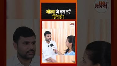 नौतपा में कब करें सिंचाई? #mausam_ki_jankari #ytshorts