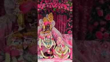 #वृंदावन राधा वल्लभ जी की आज के दर्शन@