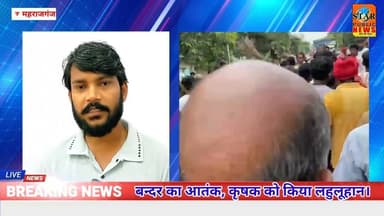 #maharajganj बन्दर का आतंक, कृषक को किया लहुलूहान। #atank #viral #newa #shorts