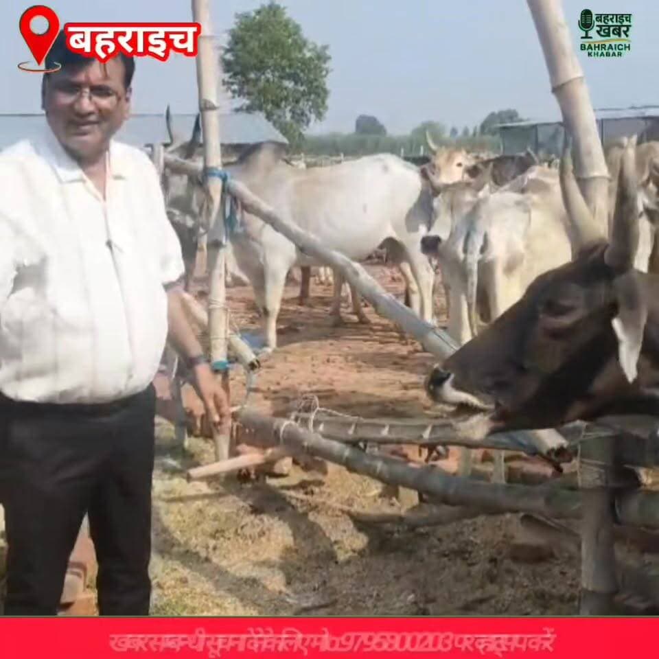 हर गुरुवार सेवा का संकल्प: पयागपुर में BDO की पहल बनी प्रेरणा की मिसाल
#Payagpur #Bahraich #AjayPratapSingh #BDOPayagpur...