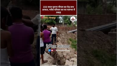 150 साल पुराना पीपल का पेड़ बना आफत, गरीब परिवार का घर पलभर में तबाह #gorakhpur #news #storm #shorts