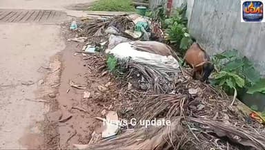 গনকী ফাঁড়ি রাস্তায় তীব্র জনক্ষোভ: ভাঙা কালভার্ট ও আবর্জনার স্তূপে বিপন্ন জনজীবন।
