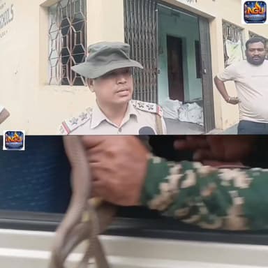 খোয়াই বিদ্যালয় পরিদর্শকের অফিস থেকে বিষাক্ত সাপ উদ্ধার **!