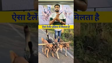 ऐसा टैलेंट इंडिया में ही पाया जाता है #indian #dog #dogwork #tailent #viralreels #reelsvideo