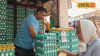 जीजा ने बदली साले की किस्मत ₹5000 लगाकर शुरू कराया था बिजनेस आज ट्रकों से बेच रहे हैं अंडे लाखों की हो रही हैं कमाई #ree...