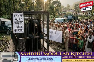 देलथ में दहशत का अंत: पिंजरे में कैद हुआ खूंखार भालू, ग्रामीणों ने ली राहत की सांस
#देलथ #भालू_आतंक #वनविभाग #हिमाचलप्रद...