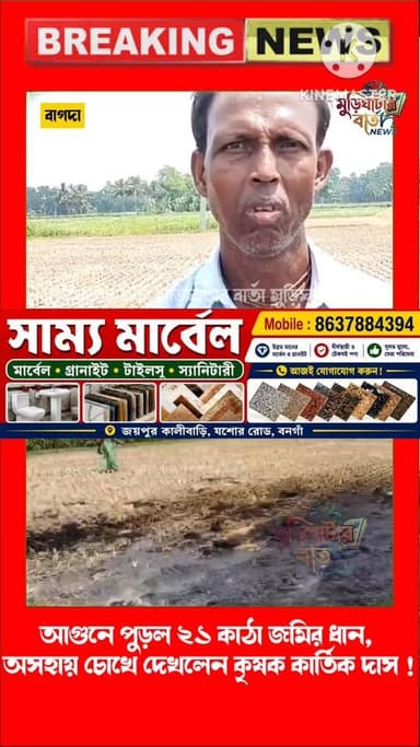 রাত পোহাতেই ছাই কৃষকের স্বপ্ন! বাগদায় ধানের গাদায় রহস্য আগুন! আগুনে পুড়ল ২১ কাঠা জমির ধান, অসহায় চোখে দেখলেন কৃষক কা...