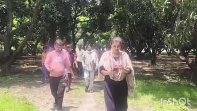 संडीला: कछौना के लोनहरा गांव की सरहद पर जंगली जानवर दिखने से सनसनी, ग्रामीण बोले- चीते का बच्चा है