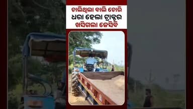 ଚାଲିଥିଲା ବାଲି ଚୋରା ଚାଲାଣ ମାଡିବସିଲେ ତହସିଲଦାର | Niali News | Cuttack