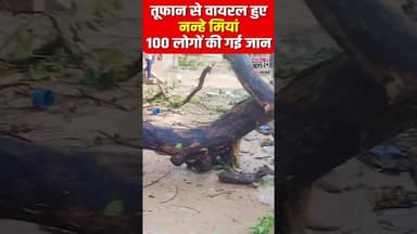 तूफान से वायरल हुए नन्हे मियां 100 लोगों की गई जान | #shortsfeed #breakingnews #upviralvideo
