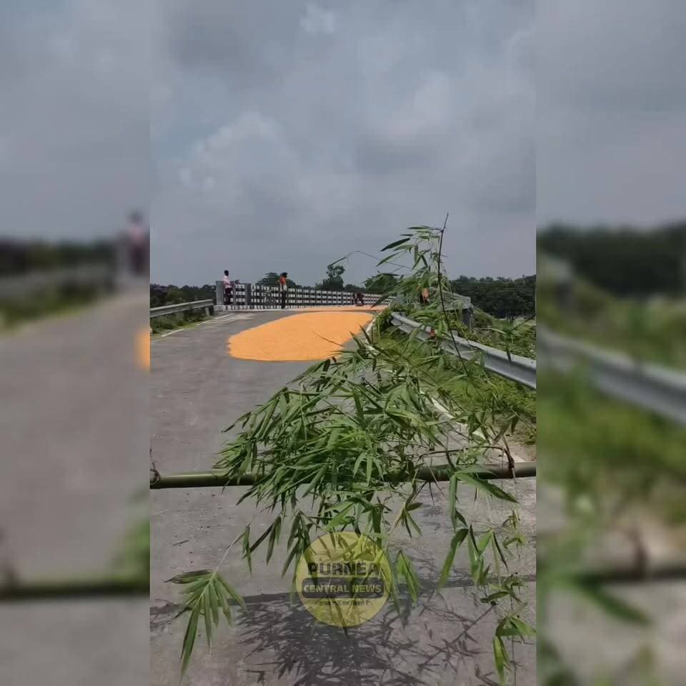 बिहार में सड़क बनी खलिहान, रोड और पुल पर सूख रहा मक्का...
#Bihar
#Makka
#RoadSafety
#BiharNews
#Bridge
#Farmers
#ViralV...