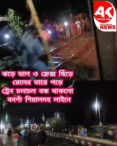 এই কারণে বনগাঁ-শিয়ালদহ লাইনে দু'ঘণ্টা ট্রেন চলাচল বন্ধ থাকলো ! #news #bongasealdahtrainproblem #trainstop
