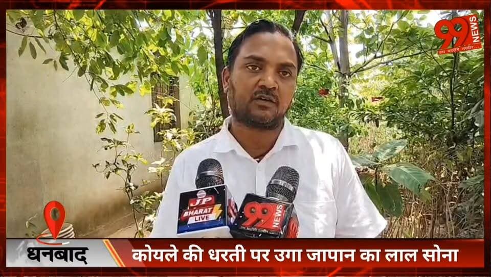 #धनबाद : #कोयले की #धरती पर उगा #जापान का #लाल #सोना