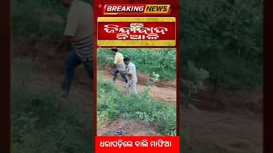 Niali : ସିଠାଳୋ ପଞ୍ଚାୟତ କାର୍ଯ୍ୟାଳୟ ସାମ୍ନାରେ ଉଠୁଥିଲା ଚୋରା ବାଲି ମାଡି ବସିଲା ନିଆଳି ତହସିଲଦାର #viralvideo