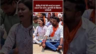 डीडीयू में पेड़ों की कटाई पर बवाल! ABVP का धरना, कुलपति के खिलाफ नारेबाजी #gorakhpur #protest #abvp