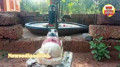 ଆଜି ରବିବାର ଦେଶ ପାଳିବ ଯମ ହାତରୁ ନିଜ ସ୍ୱାମୀକୁ ବଞ୍ଚେଇବା ପାଇଁ ଆଜି ସାବିତ୍ରୀ ଅମାବାସ୍ୟା ତରଭା ଗ୍ରାମରେ ପୂଜାପାଉଛନ୍ତି ହର ହର ମହାଦେବ #...