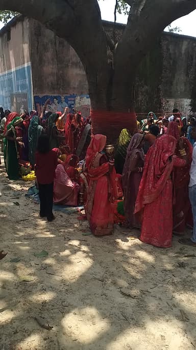 ghoghardiha block by Jageshwar sthan