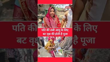 पति की लंबी आयु के लिए बट वृक्ष की होती है पूजा #Etawah #ShortVideo #Video #mss_news