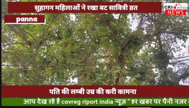 पति की लम्बी उम्र की कामना हेतु महिलाओ ने रखा बट सावित्री व्रत #PHN #panna #PannaNews #PublicNews