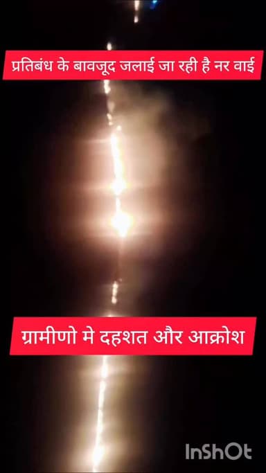 प्रतिबंध के बावजूद भी खेतों में लगाई जा रही है आग