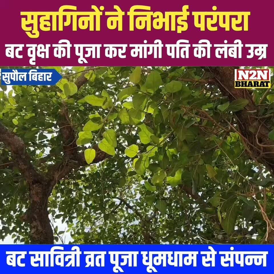 सुहागिनों ने निभाई परंपरा, बट वृक्ष की पूजा कर मांगी पति की लंबी उम्र,
#highlightseveryone #followerseveryone #highlight...