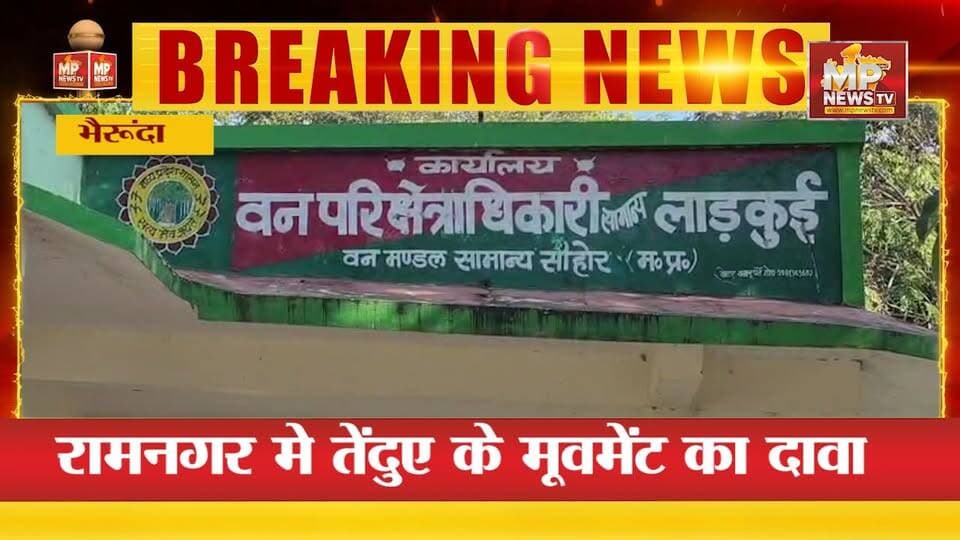 भैरूंदा में तेंदुए की आहट से दहशत, खेतों में दिखे पैरों के निशान ! MP NEWS BHERUNDA #mpnews #bherunda #lepord #vanvibhag