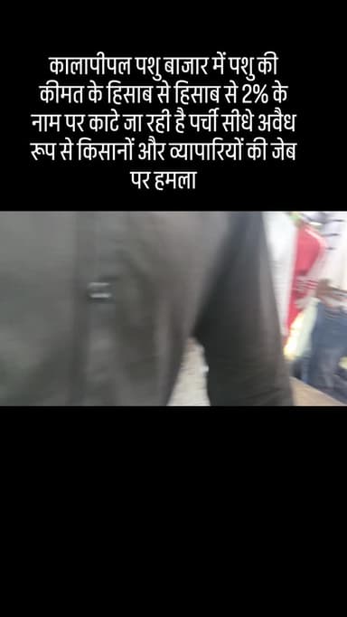 Kalapipal पशुओं की कीमत के ही सब से
#growoninstagram #viralvideos #bilal #i #i