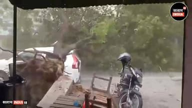 तेज आंधी तूफान ने मवहया हड़कंप खड़ी गाड़ी पर गिरा पेड़ #salamindia18 #trendingnews #video #shorts #news #LatestNews