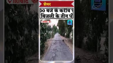 शनिवार रात 10 बजे तीन बिजली पोल टूटकर गिरे सड़क पर #latestnews #bharatnews #fatehabad