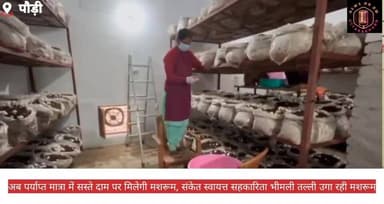 #पौड़ी में अब पर्याप्ता मात्र में मिलेगी #बटन_मशरूम #नागदेव क्षेत्र में ग्रामोत्थान परियोजना की पहल पर शुरू हुई #मशरूम_य...