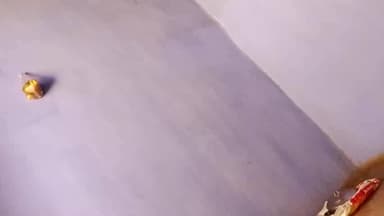 das Rajasthan Kapoor Sai