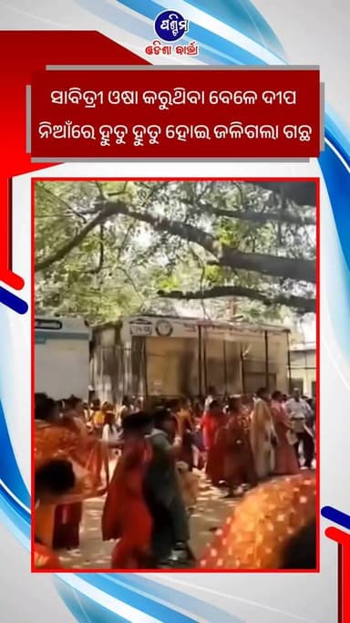 ସାବିତ୍ରୀ ଓଷା କରୁଥିବା ବେଳେ ଦୀପ ନିଆଁରେ ହୁତୁ ହୁତୁ ହୋଇ ଜଳିଗଲା ଗଛ
#pashchimodishabartta #sabitribrata #viralreelsシ #viralree...